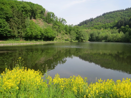 Wanderstrecke 08.10.2022-2